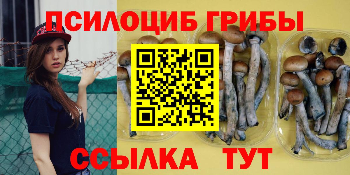 Галлюциногенные грибы Magic Shrooms  Вход с VPN  Губкин 