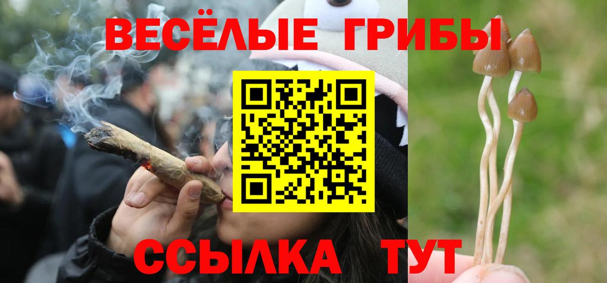 Галлюциногенные грибы мухоморы Губкин